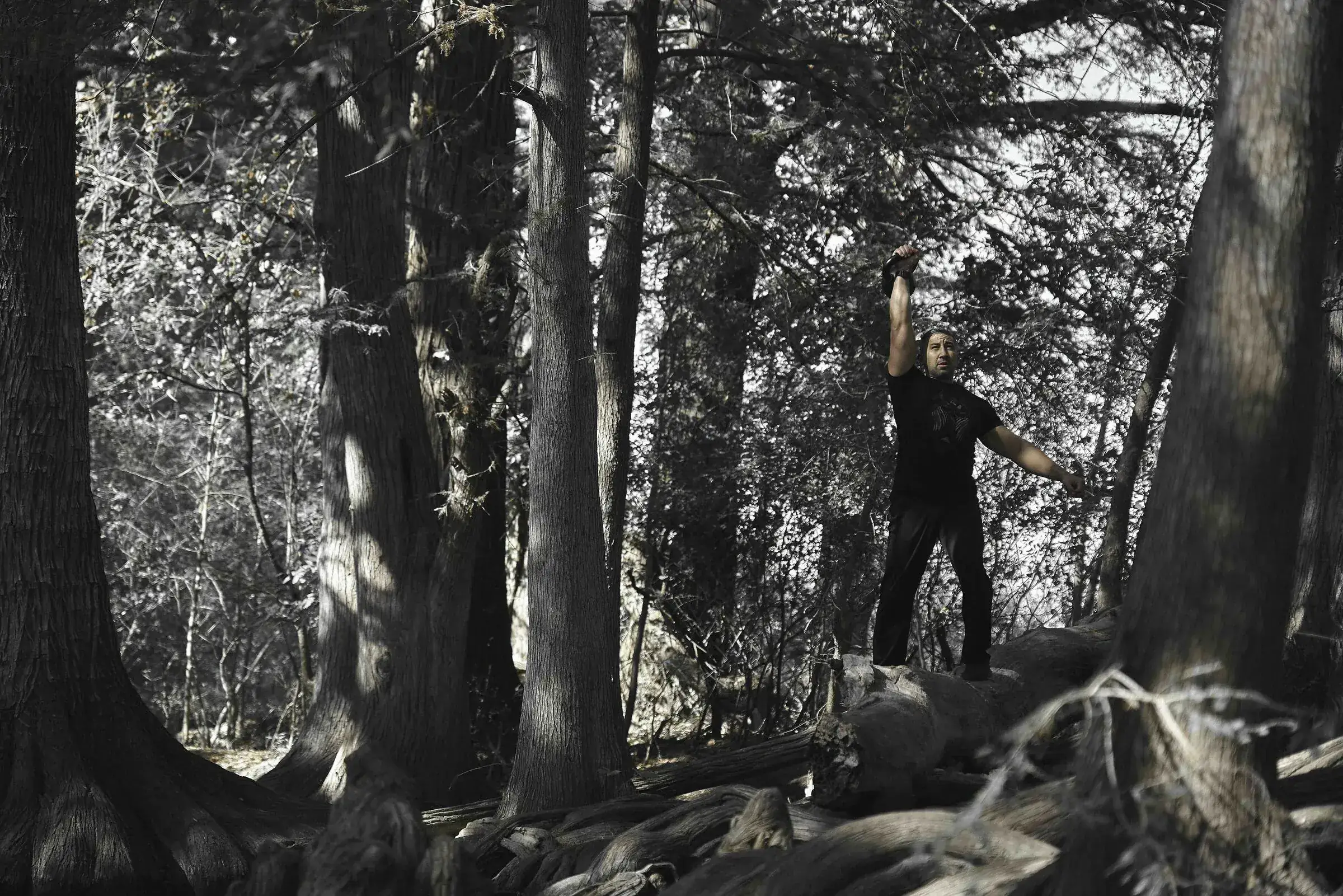 John Wolf training in Hill Country cypress forest